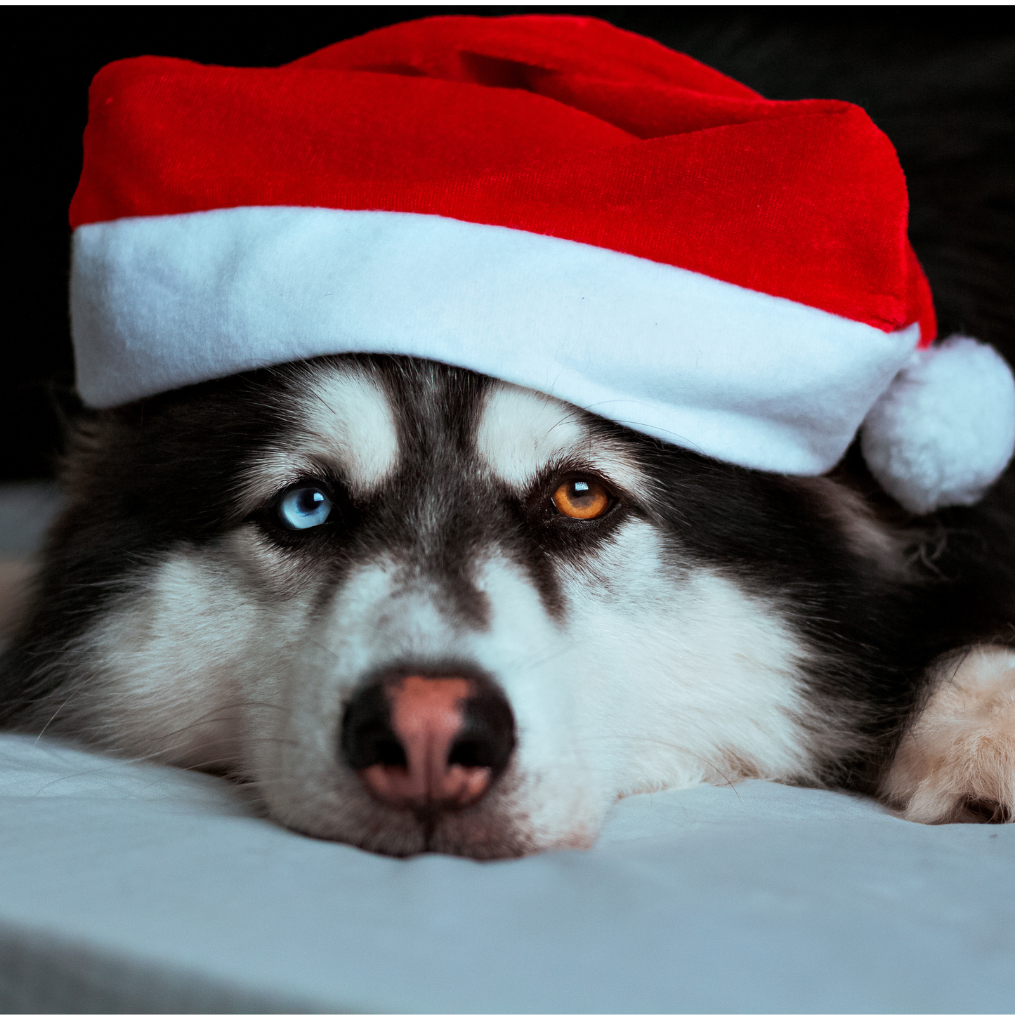 Weihnachtsmannmütze in Samtoptik zum Personalisieren mit dem Vornamen
