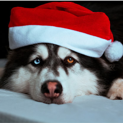 Weihnachtsmannmütze in Samtoptik zum Personalisieren mit dem Vornamen